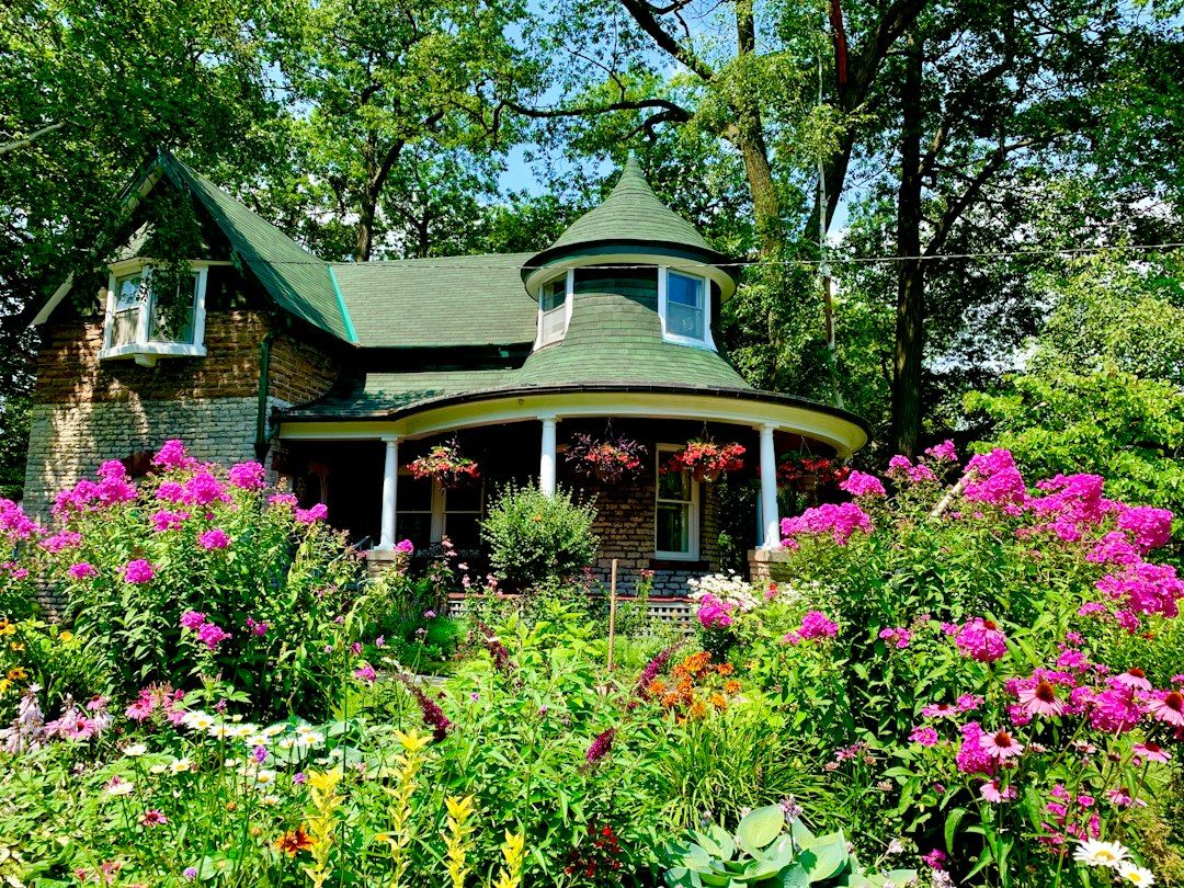 Pink and yellow flowers beside green house at daytime